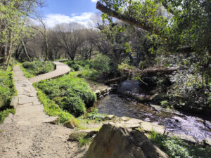 Camiño do Pozo