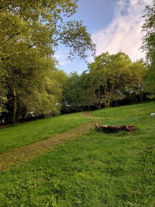 Parque de Bonaval
