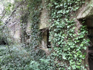 Ruinas Fábrica do Pego