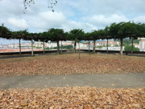 Mirador De Fontiñas 2