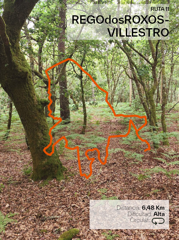 RUTA 11 Rego dos Roxos – Villestro