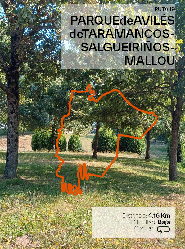 RUTA 19 Parque de Avilés de Taramancos – Salgueiriños – Mallou