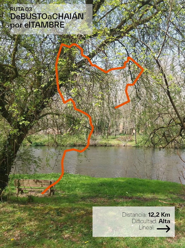 RUTA 3 De Busto a Chaián por el Tambre