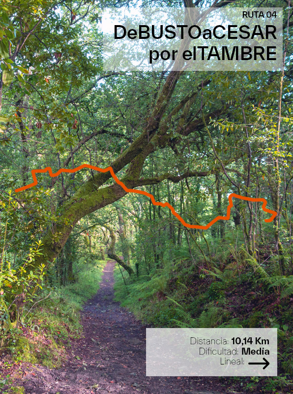 RUTA 4 De Busto a Cesar por el Tambre