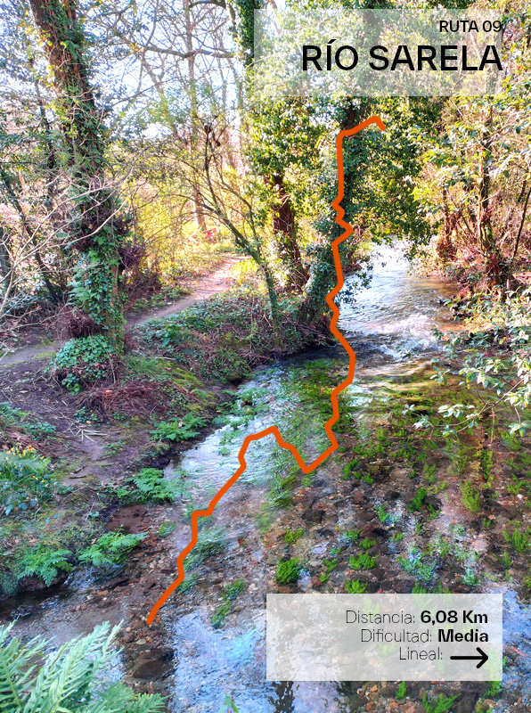 RUTA 9 Río Sarela